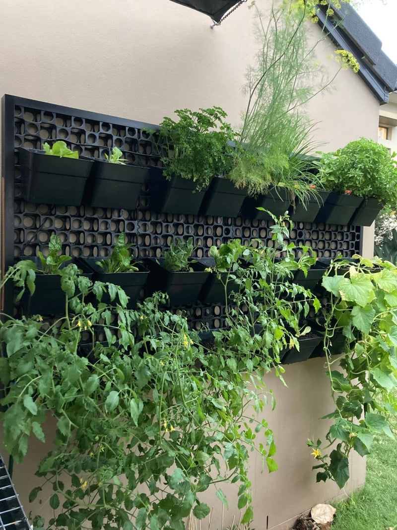 Load image into Gallery viewer, Green wall DIY with aluminium edge
