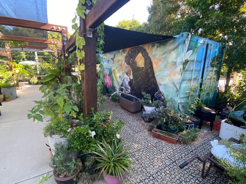 Load image into Gallery viewer, Gravel cell installed in nursery