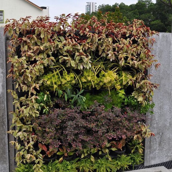 Load image into Gallery viewer, Gro Wall 4.5 - ATL-80040 - Eco Sustainable House