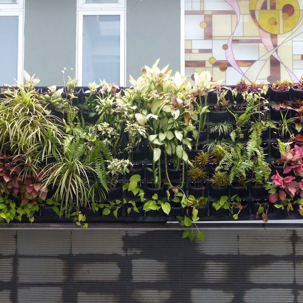 Load image into Gallery viewer, Gro Wall 4.5 Vertically setup gardens - Eco Sustainable House