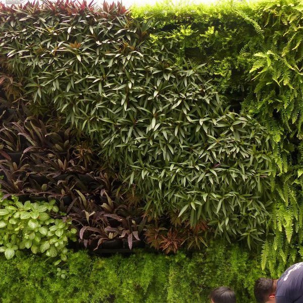 Load image into Gallery viewer, Gro Wall Vertical Gardens - Eco Sustainable House