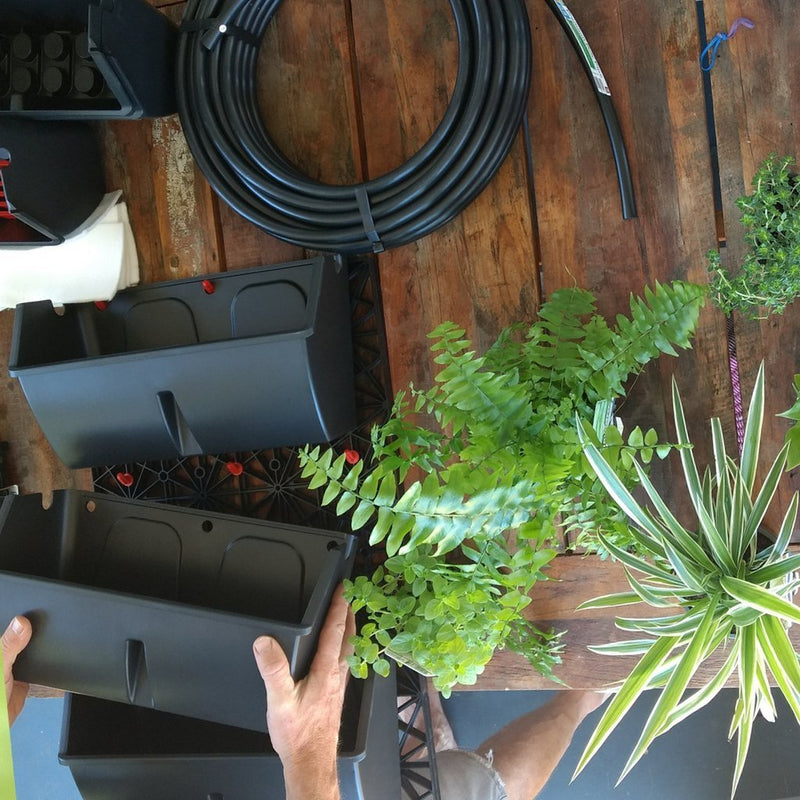 Load image into Gallery viewer, Gro-Wall Slim Line - Vertical Gardens for small plants 3 - Eco Sustainable House