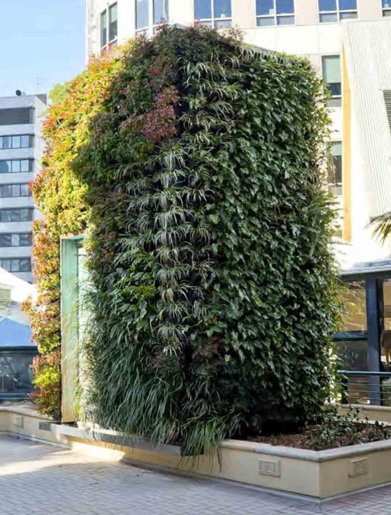 Load image into Gallery viewer, Gro-Wall Slim Line Vertical Gardens - Outdoor setup - Eco Sustainable House