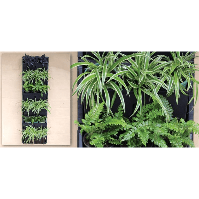 Load image into Gallery viewer, Gro-Wall Slim Line - Vertical Gardens 2 x 6 - Eco Sustainable House