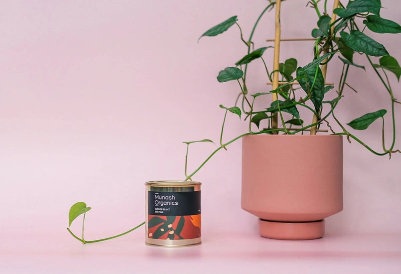 Load image into Gallery viewer, Indoor plant soil food organic