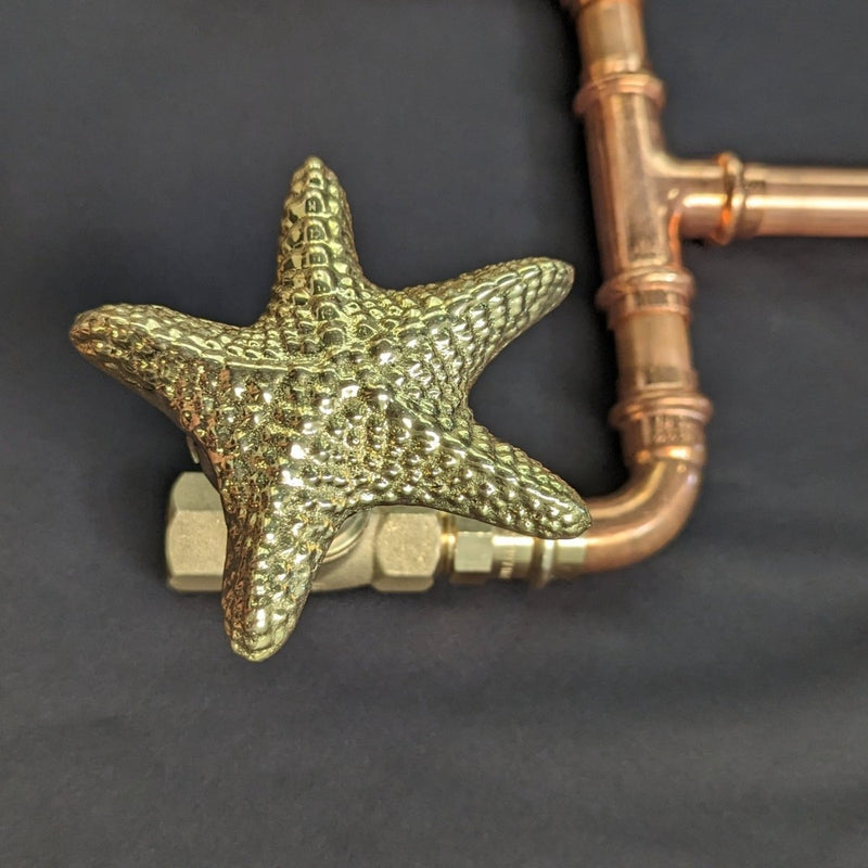Load image into Gallery viewer, Starfish style brass cover plate for taps