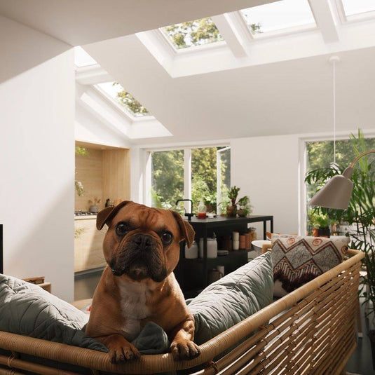 VELUX FS Fixed Skylight - VEL-FS2004 C01 - Eco Sustainable House
