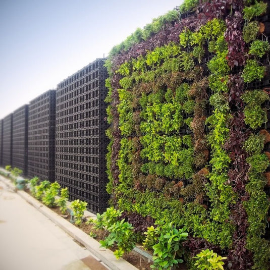 Gro-Wall Pro Vertical Gardens outdoor setup - ATL-80043P - Eco Sustainable House