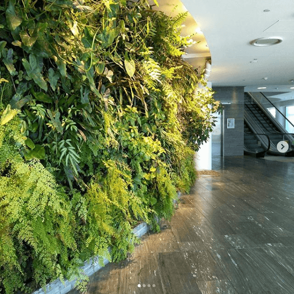 Eco Friendly Vertical Gardens: Saving Water, Space and Waste