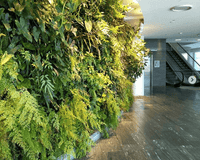 Eco Friendly Vertical Gardens: Saving Water, Space and Waste - Eco Sustainable House