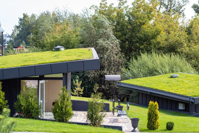 Sustainable Housing: Passive Home, Active Savings