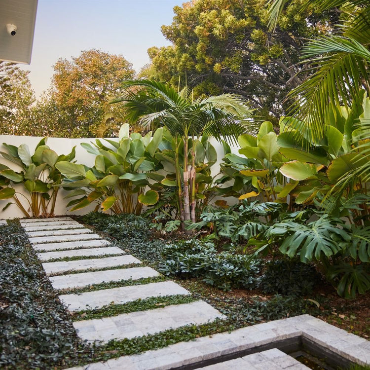 Viewpoint Landscaping's Broadbeach Waters Tranquil Flow Garden