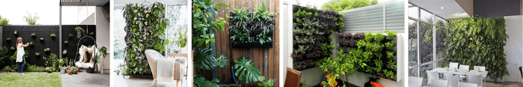 Vertical Gardens - Eco Sustainable House