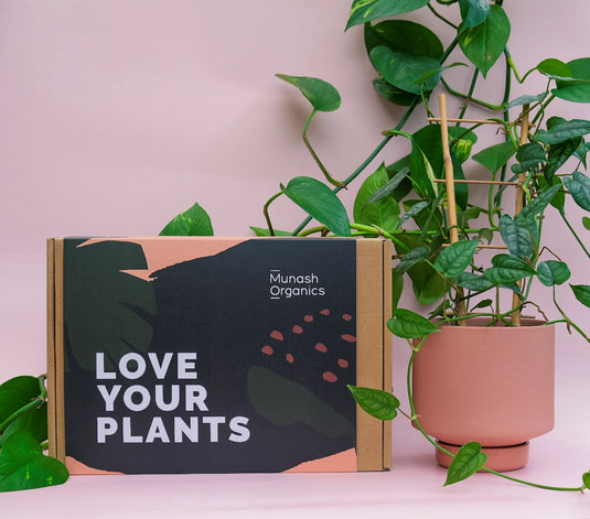 Organic Indoor Plant Care Gift Box