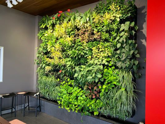 How to Design Vertical Garden: Transform Your Space
