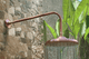 BILINGA Outdoor Shower Kit - Out of Wall  - 200mm Copper Head