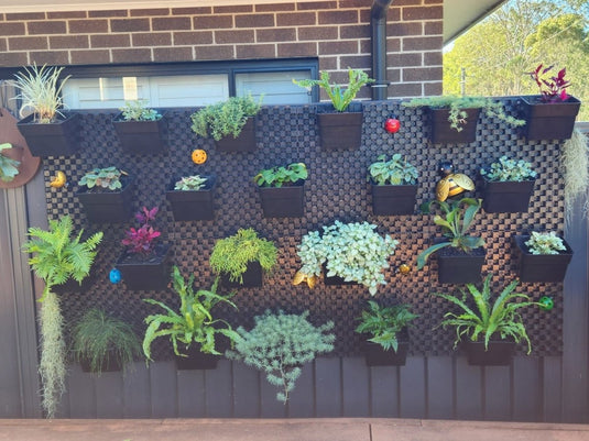 Green wall pots on 30mm screen