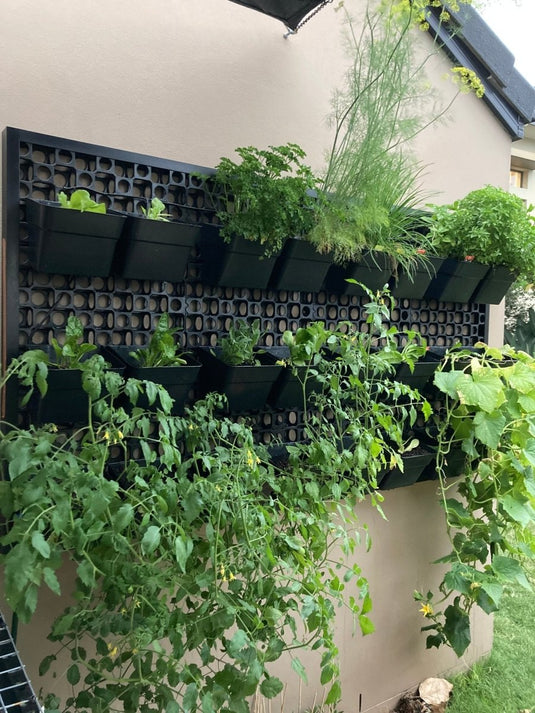 Green wall DIY with aluminium edge