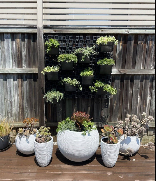 1 DIY vertical garden kit on timber fence