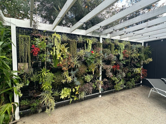 Pergola area vertical garden DIY