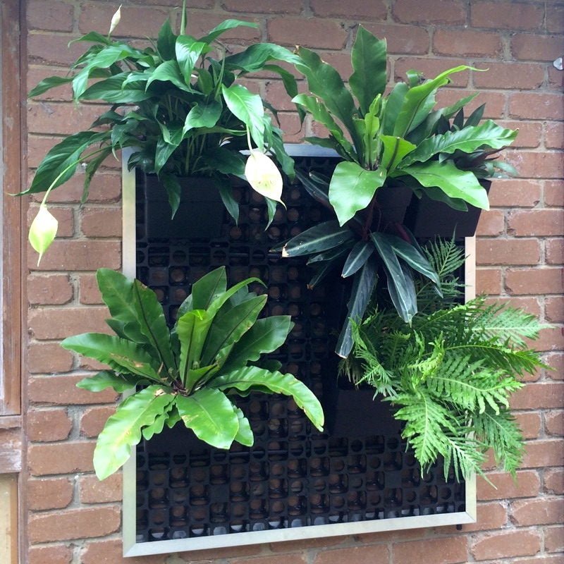 Load image into Gallery viewer, DIY Vertical Garden Kit - ATL-80052F-2 - Eco Sustainable House
