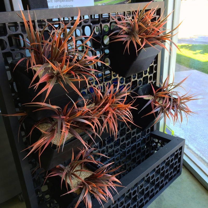 Load image into Gallery viewer, Green Wall Pots | Vertical Garden Pots - ATL-80052FP - Eco Sustainable House
