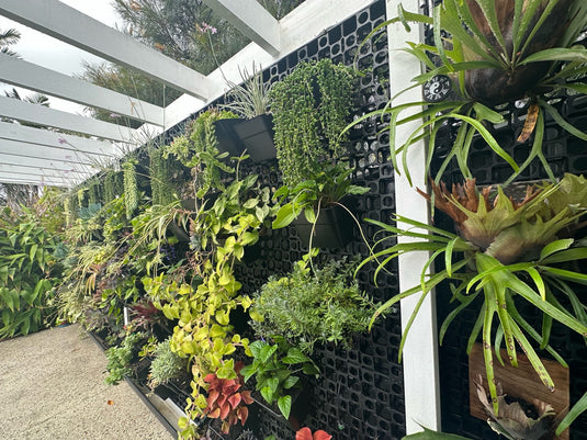 DIY vertical garden multiple kits
