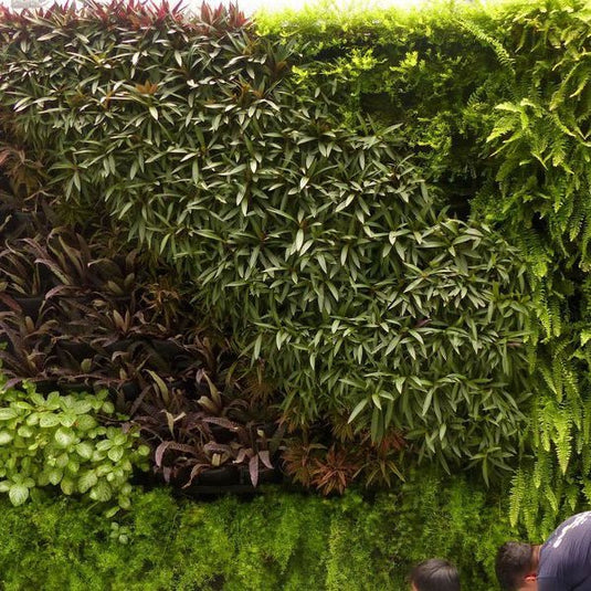 Gro Wall Vertical Gardens - Eco Sustainable House
