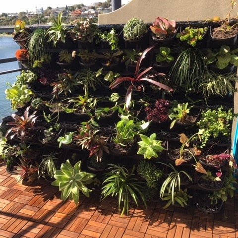 Load image into Gallery viewer, Gro Wall 4.5 Vertical Gardens - Eco Sustainable House

