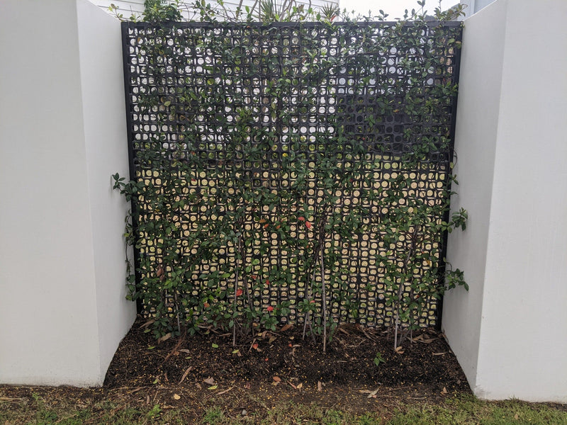 Load image into Gallery viewer, Gro Wall Facade Vertical Gardens - ATL-80052F - Eco Sustainable House
