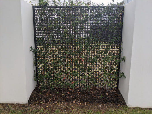 Gro Wall Facade Vertical Gardens - ATL-80052F - Eco Sustainable House