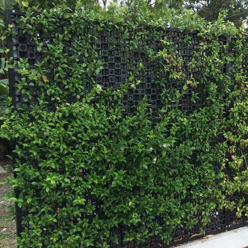 Gro Wall Facade Vertical Gardens - ATL-80052F - Eco Sustainable House