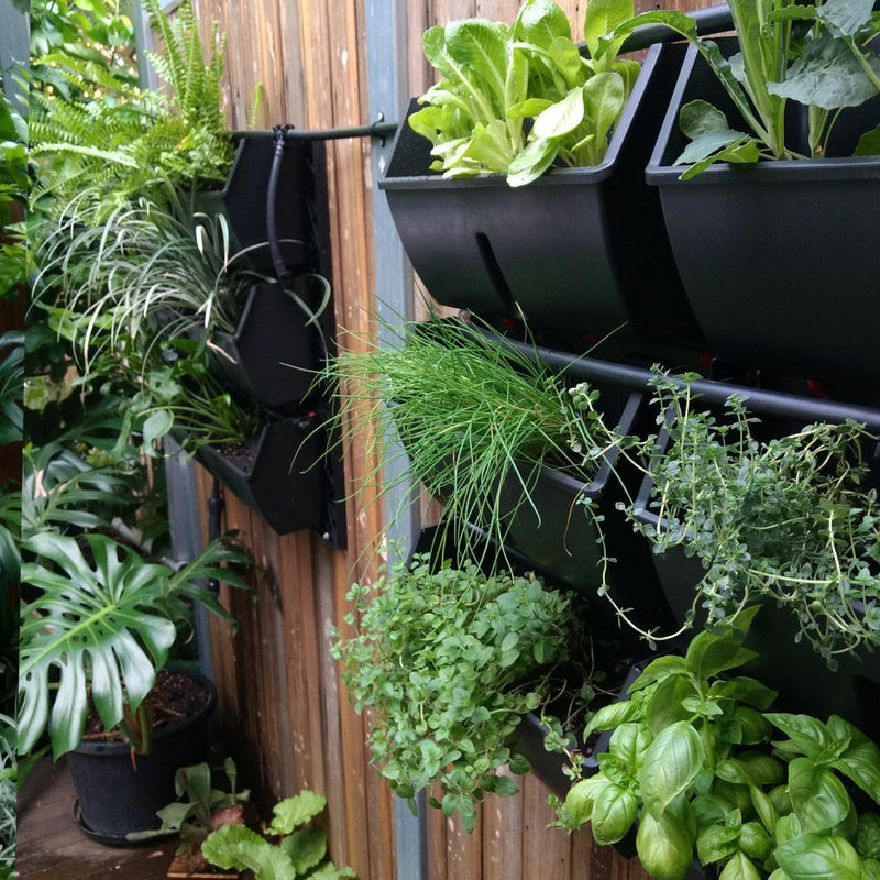 Load image into Gallery viewer, Gro-Wall Slim Line -Vertical Garden for smaller plants - Eco Sustainable House
