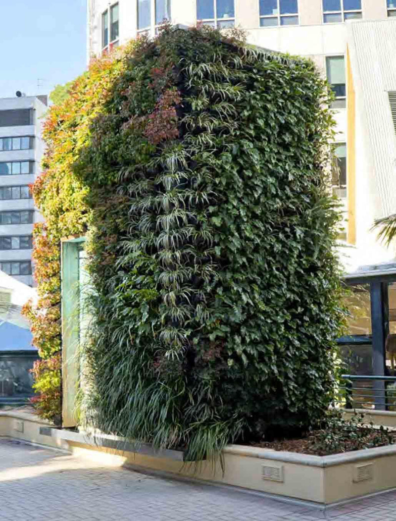 Load image into Gallery viewer, Gro-Wall Slim Line Vertical Gardens - Outdoor setup - Eco Sustainable House
