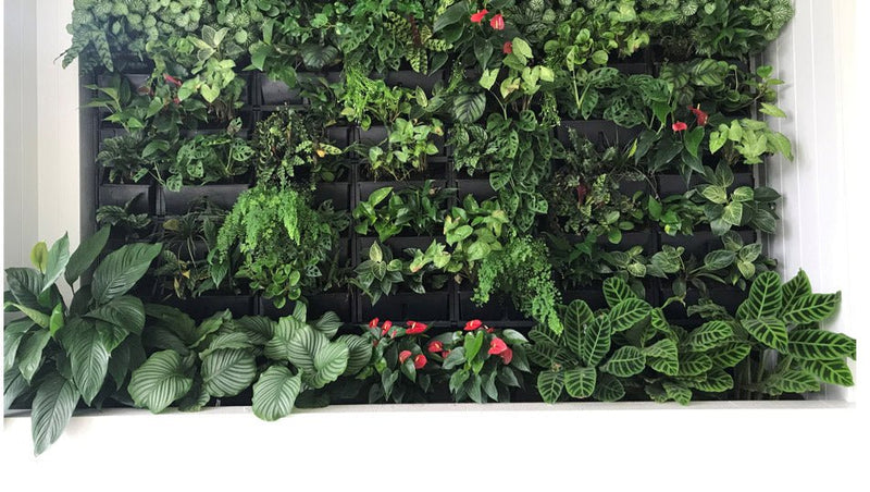 Load image into Gallery viewer, Gro wall slim pro vertical garden over planter box
