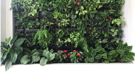 Gro wall slim pro vertical garden over planter box
