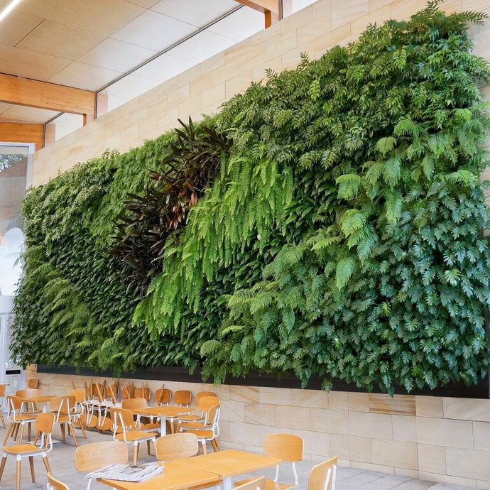 Gro Wall Slim Pro green wall in dining area