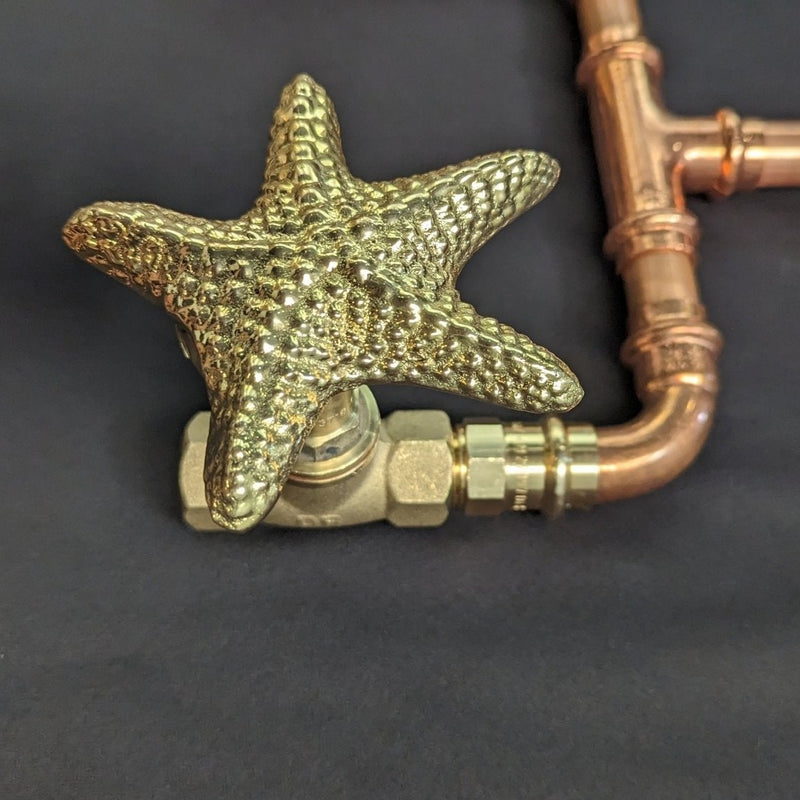 Load image into Gallery viewer, ESH-Starfish tap cover on T tap
